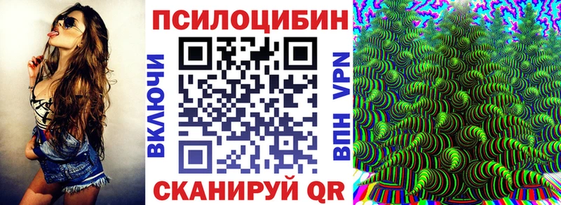 цены   Ртищево  Галлюциногенные грибы Psilocybe 