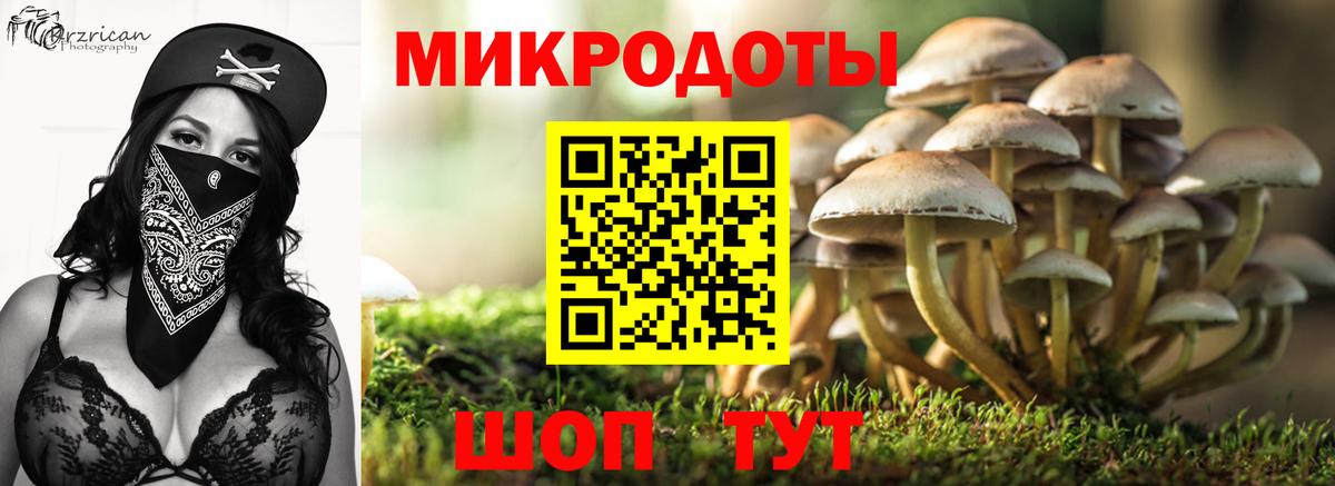 Ртищево  Галлюциногенные грибы ЛСД  Вход с VPN  Псилоцибиновые грибы Psilocybine cubensis 